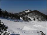 Javornik above Črni vrh